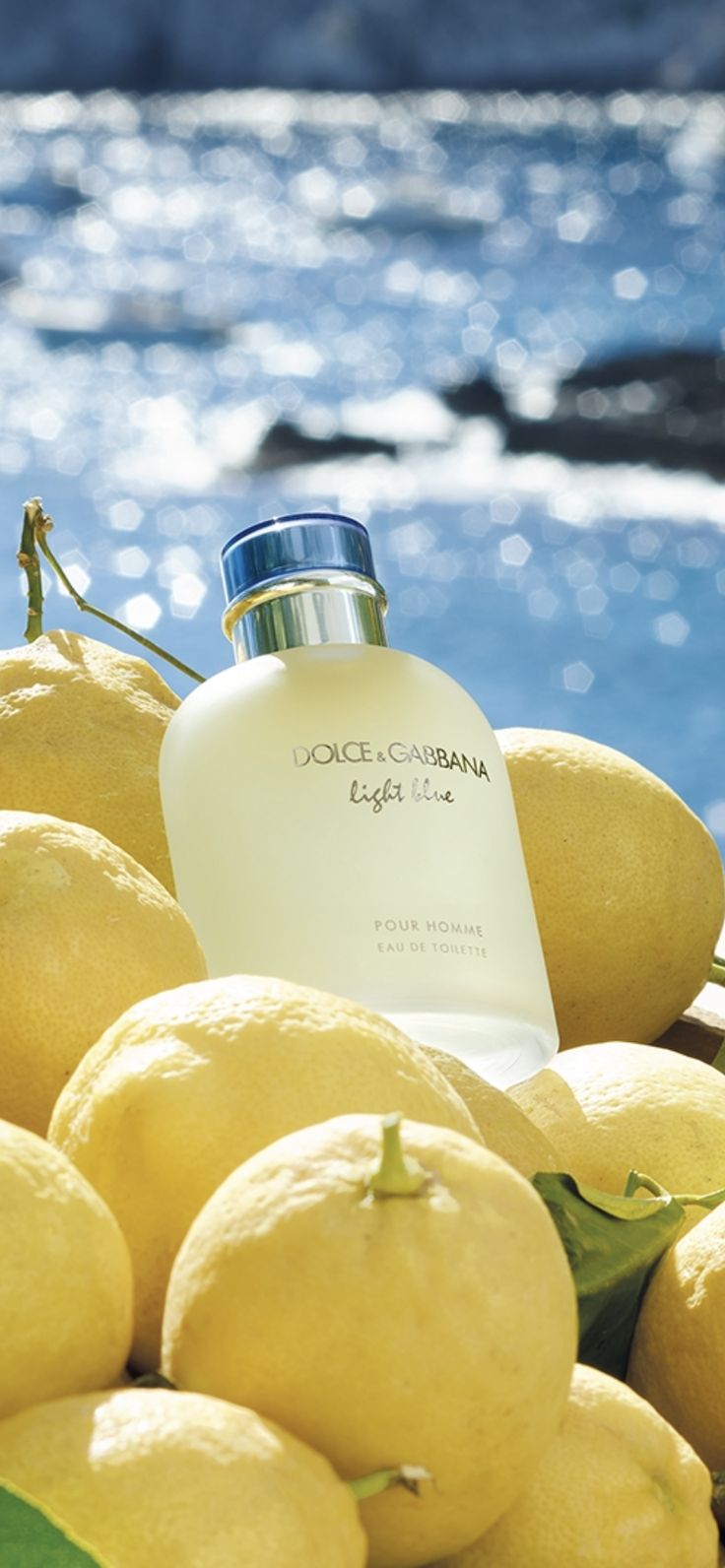 Perfume for Him with 30% essence, citrus refreshing - 70ml